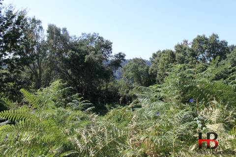 Quintinha  Venda em Gondomar (São Cosme), Valbom e Jovim,Gondomar