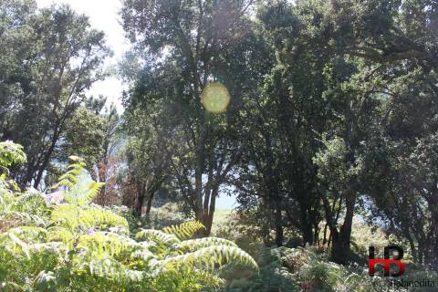 Quintinha  Venda em Gondomar (São Cosme), Valbom e Jovim,Gondomar