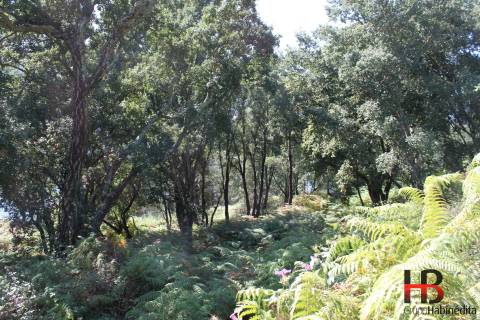 Quintinha  Venda em Gondomar (São Cosme), Valbom e Jovim,Gondomar