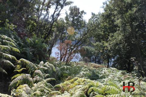 Quintinha  Venda em Gondomar (São Cosme), Valbom e Jovim,Gondomar