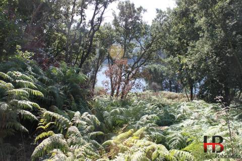Quintinha  Venda em Gondomar (São Cosme), Valbom e Jovim,Gondomar
