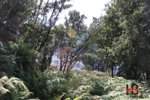 Quintinha  Venda em Gondomar (São Cosme), Valbom e Jovim,Gondomar