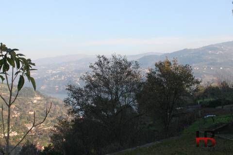 Quintinha no Douro, Baião.