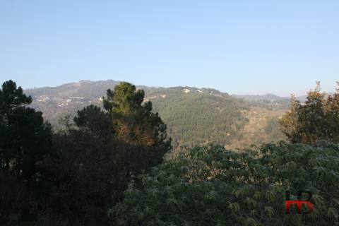 Quintinha no Douro, Baião.