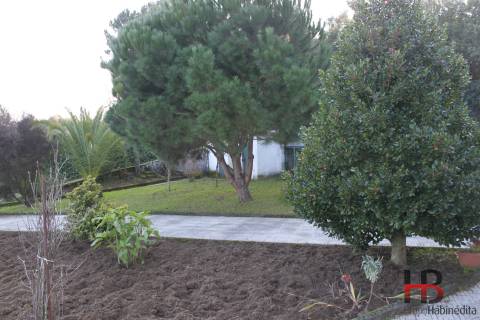 Quintinha no Douro, Baião.