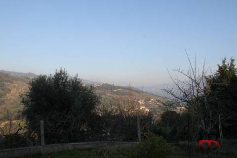 Quintinha no Douro, Baião.