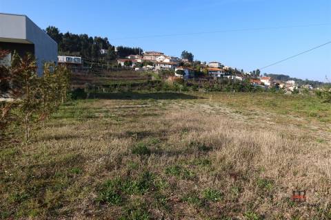 Quintinha em Castelo de Paiva