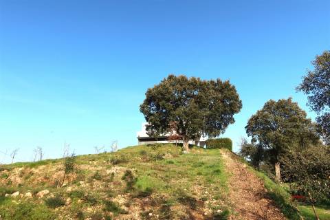 Quintinha em Castelo de Paiva