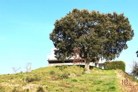 Quintinha em Castelo de Paiva