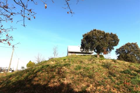 Quintinha em Castelo de Paiva