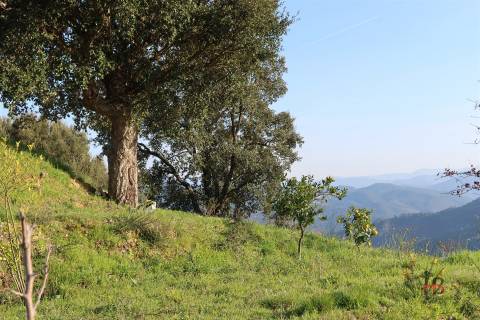Quintinha em Castelo de Paiva