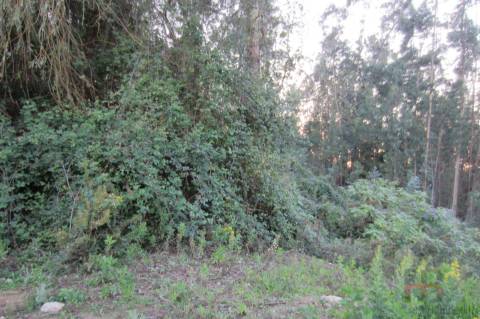 Lote Industrial  Venda em Santa Maria da Feira, Travanca, Sanfins e Espargo,Santa Maria da Feira