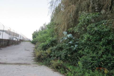 Lote Industrial  Venda em Santa Maria da Feira, Travanca, Sanfins e Espargo,Santa Maria da Feira
