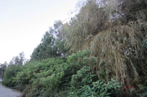 Lote Industrial  Venda em Santa Maria da Feira, Travanca, Sanfins e Espargo,Santa Maria da Feira