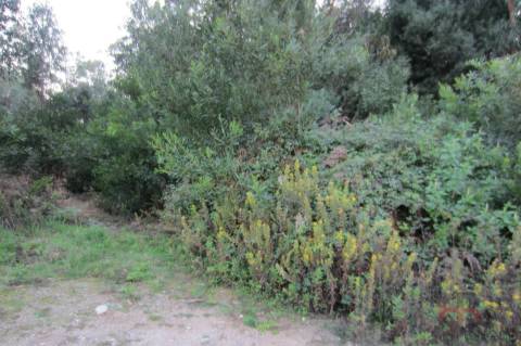 Lote Industrial  Venda em Santa Maria da Feira, Travanca, Sanfins e Espargo,Santa Maria da Feira