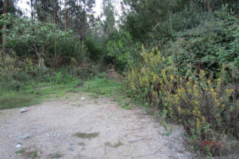 Lote Industrial  Venda em Santa Maria da Feira, Travanca, Sanfins e Espargo,Santa Maria da Feira
