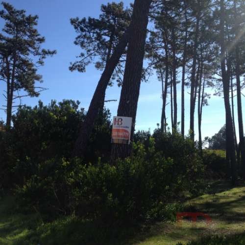 Lote de Terreno  Venda em Esmoriz,Ovar