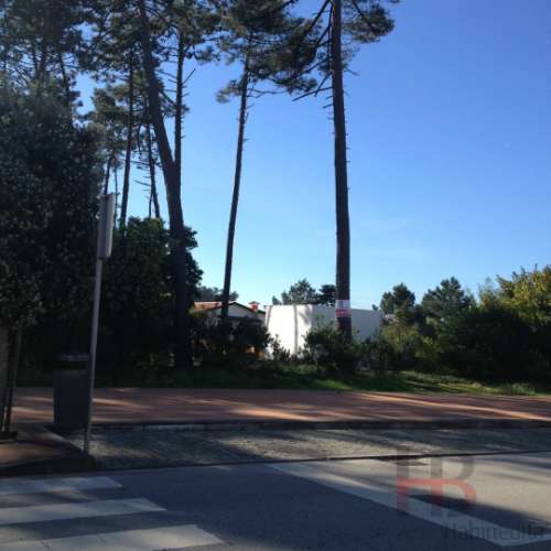 Lote de Terreno  Venda em Esmoriz,Ovar