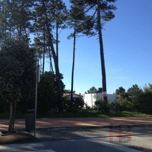 Lote de Terreno  Venda em Esmoriz,Ovar