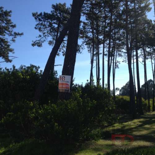 Lote de Terreno  Venda em Esmoriz,Ovar