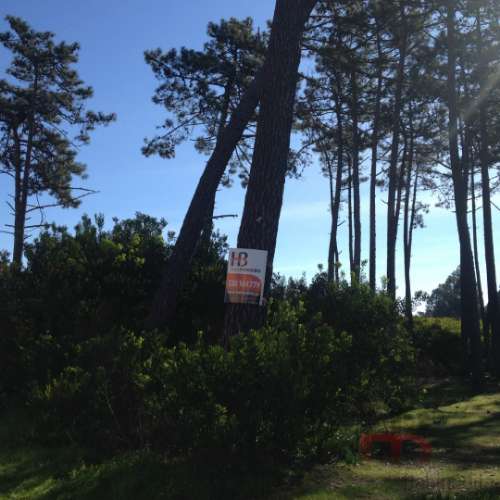 Lote de Terreno  Venda em Esmoriz,Ovar