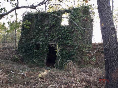 Herdade T2 Venda em Santa Cruz da Trapa e São Cristóvão de Lafões,São Pedro do Sul