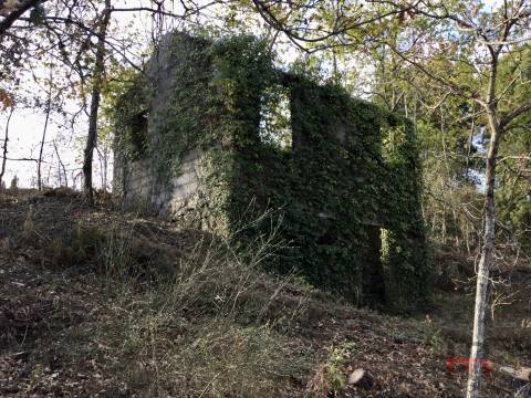 Herdade T2 Venda em Santa Cruz da Trapa e São Cristóvão de Lafões,São Pedro do Sul