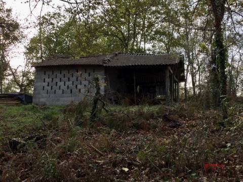 Herdade T2 Venda em Santa Cruz da Trapa e São Cristóvão de Lafões,São Pedro do Sul