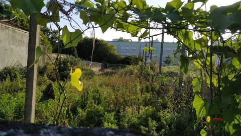 Lote de Terreno  Venda em Moreira,Maia