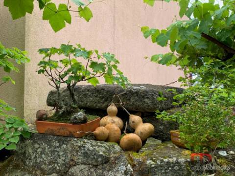 Moradia Rústica T5 Venda em São Vicente de Lafões,Oliveira de Frades