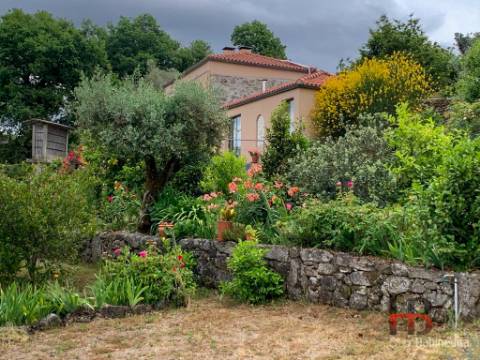 Moradia Rústica T5 Venda em São Vicente de Lafões,Oliveira de Frades