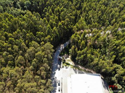 Terreno  Venda em Sandim, Olival, Lever e Crestuma,Vila Nova de Gaia