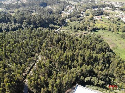 Terreno  Venda em Sandim, Olival, Lever e Crestuma,Vila Nova de Gaia