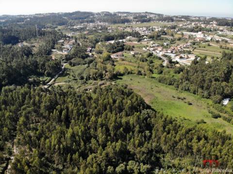 Terreno  Venda em Sandim, Olival, Lever e Crestuma,Vila Nova de Gaia