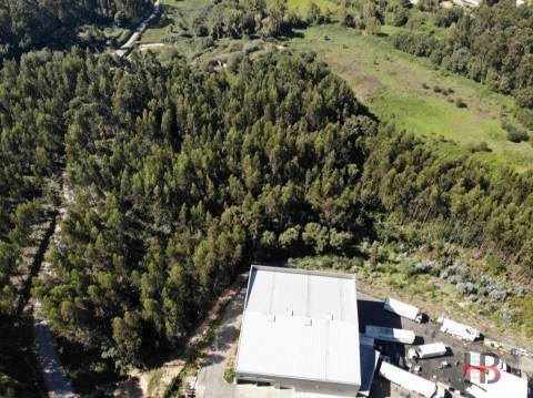 Terreno  Venda em Sandim, Olival, Lever e Crestuma,Vila Nova de Gaia