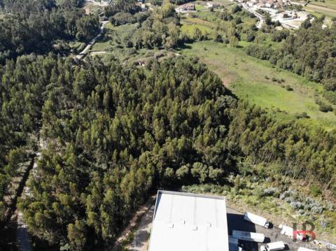 Terreno  Venda em Sandim, Olival, Lever e Crestuma,Vila Nova de Gaia