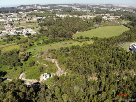 Terreno  Venda em Sandim, Olival, Lever e Crestuma,Vila Nova de Gaia