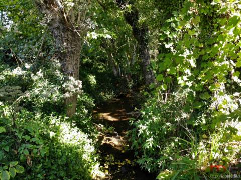 Terreno  Venda em Sandim, Olival, Lever e Crestuma,Vila Nova de Gaia