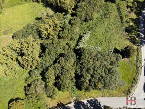 Terreno  Venda em Sandim, Olival, Lever e Crestuma,Vila Nova de Gaia