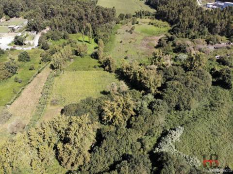 Terreno  Venda em Sandim, Olival, Lever e Crestuma,Vila Nova de Gaia