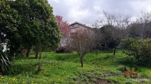 Moradia Isolada T3 Venda em Oliveira do Douro,Vila Nova de Gaia
