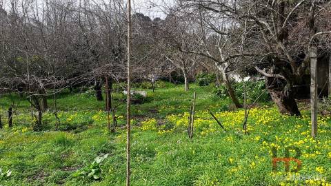 Moradia Isolada T3 Venda em Oliveira do Douro,Vila Nova de Gaia