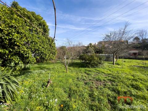 Moradia Isolada T3 Venda em Oliveira do Douro,Vila Nova de Gaia