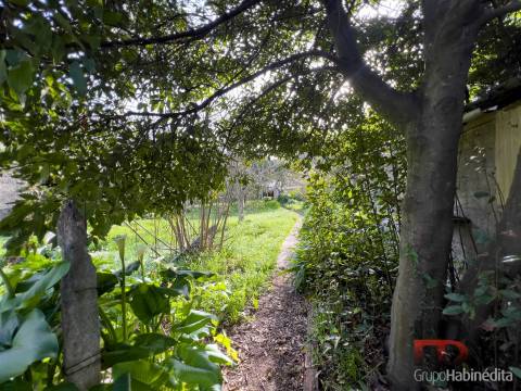 Moradia Isolada T3 Venda em Oliveira do Douro,Vila Nova de Gaia