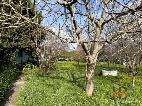 Moradia Isolada T3 Venda em Oliveira do Douro,Vila Nova de Gaia