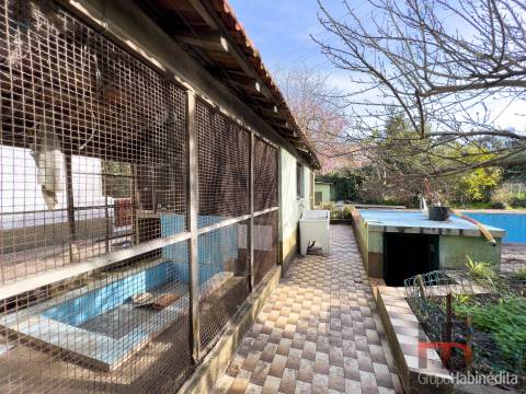 Moradia Isolada T3 Venda em Oliveira do Douro,Vila Nova de Gaia