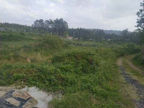 Terreno Misto  Venda em Fornos,Santa Maria da Feira