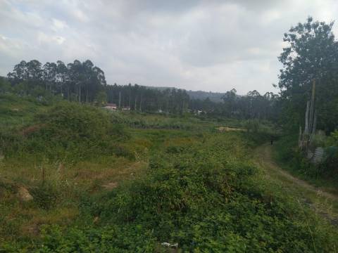 Terreno Misto  Venda em Fornos,Santa Maria da Feira