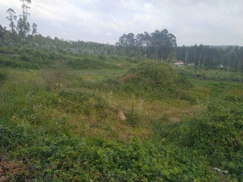 Terreno Misto  Venda em Fornos,Santa Maria da Feira
