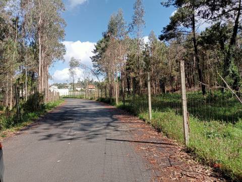 Terreno Misto  Venda em Fornos,Santa Maria da Feira